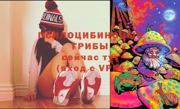 дмт Алзамай