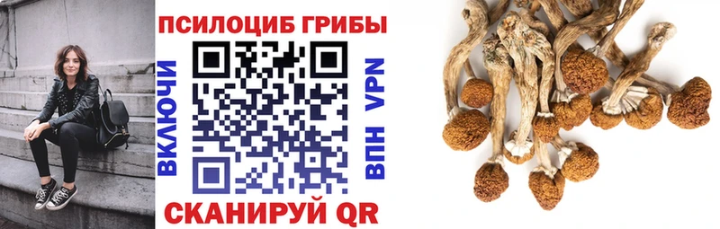 blacksprut ссылка  Урай  Галлюциногенные грибы ЛСД 